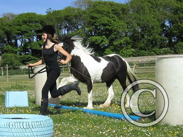 amazing-libby-and-wonderful-willow