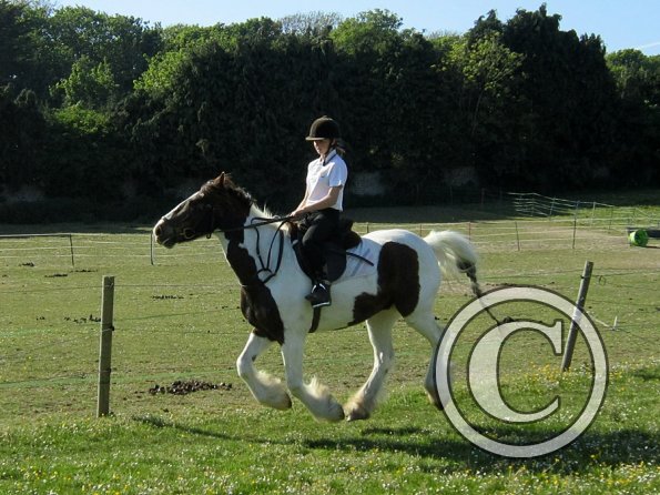 best-in-the-world-lancelot-10-