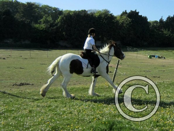 best-in-the-world-lancelot-11-