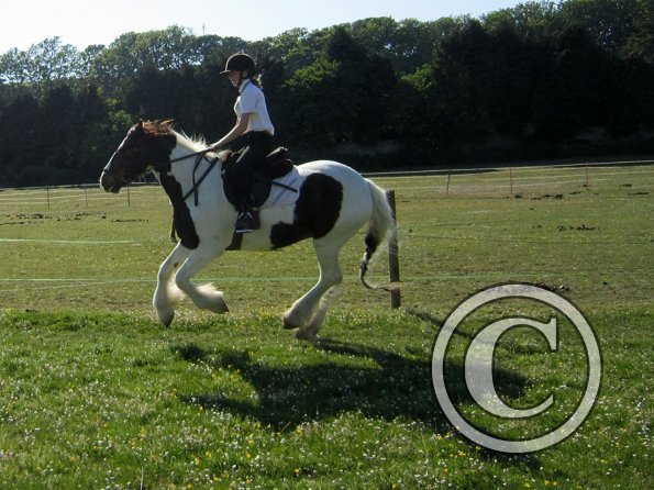 best-in-the-world-lancelot-12-