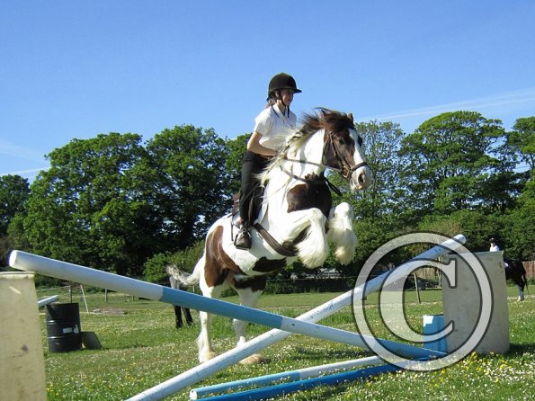 best-in-the-world-lancelot-13-