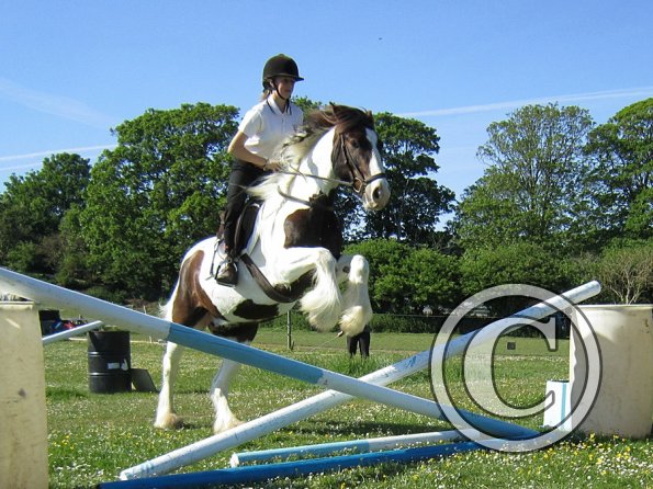 best-in-the-world-lancelot-14-