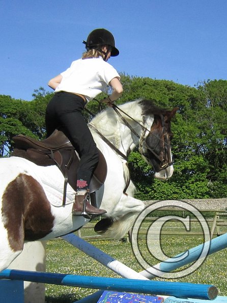 best-in-the-world-lancelot-15-