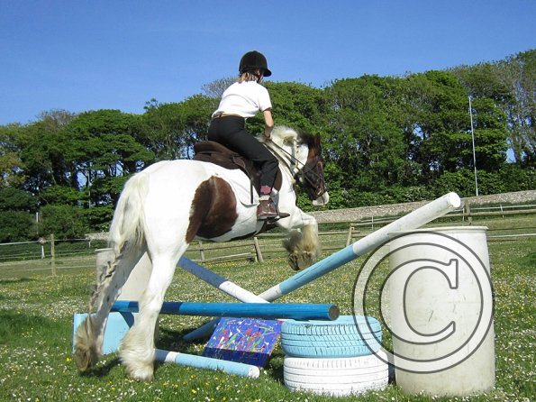 best-in-the-world-lancelot-16-