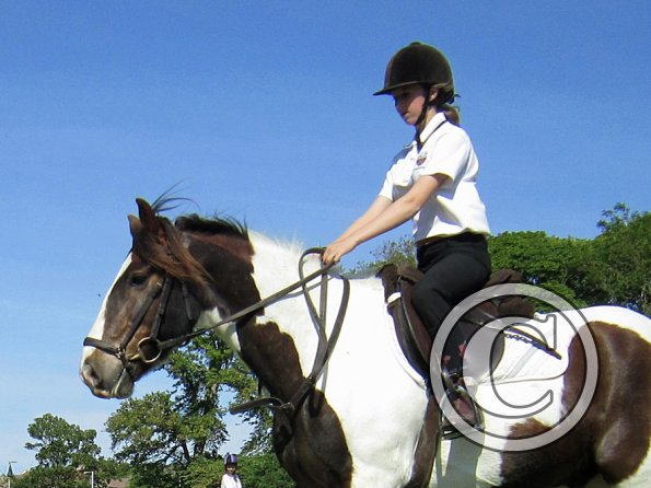 best-in-the-world-lancelot-2-