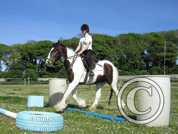 best-in-the-world-lancelot-3-