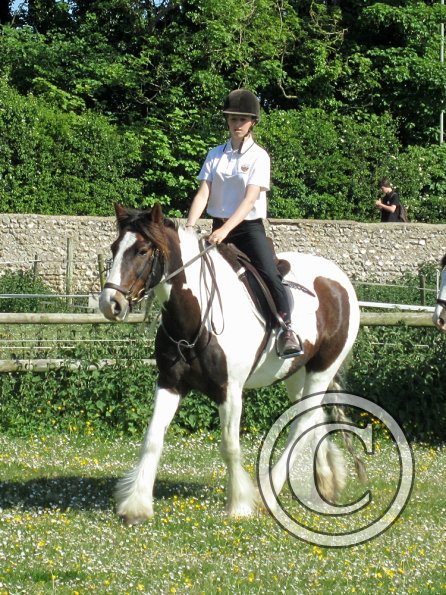 best-in-the-world-lancelot-4-