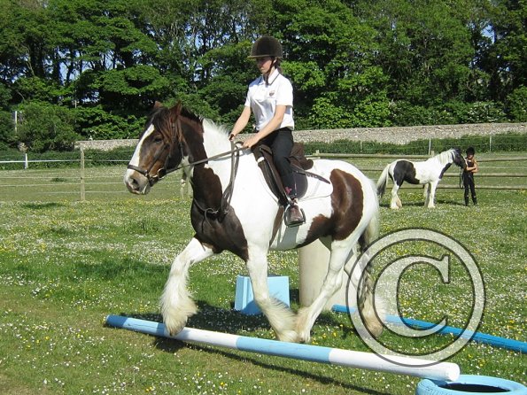 best-in-the-world-lancelot-5-