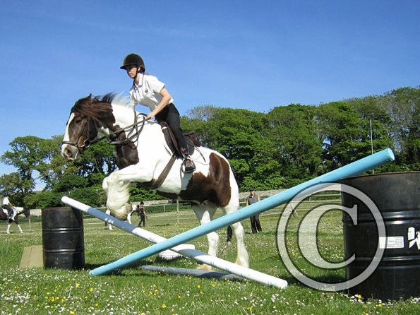 best-in-the-world-lancelot-6-