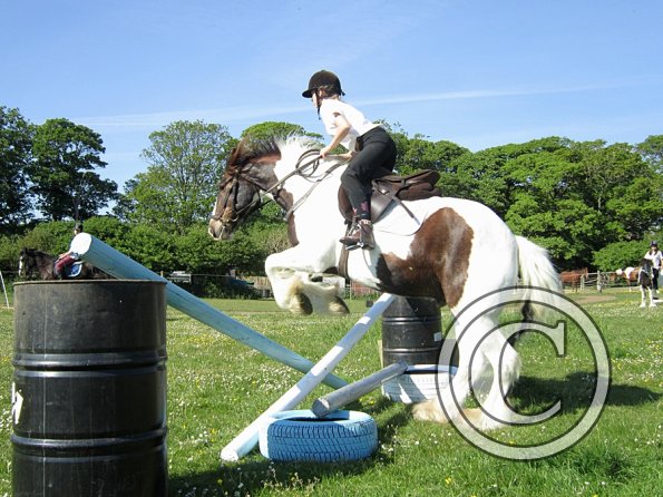 best-in-the-world-lancelot-7-