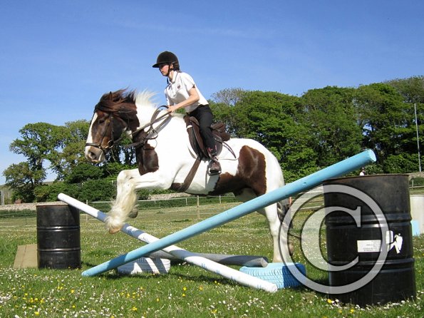 best-in-the-world-lancelot-8-