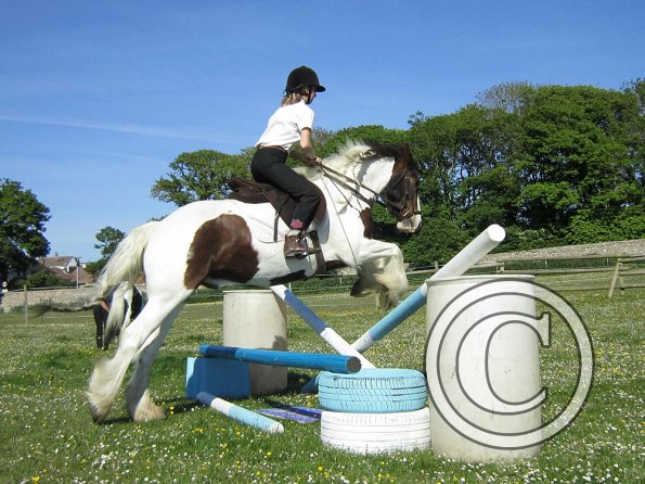 best-in-the-world-lancelot