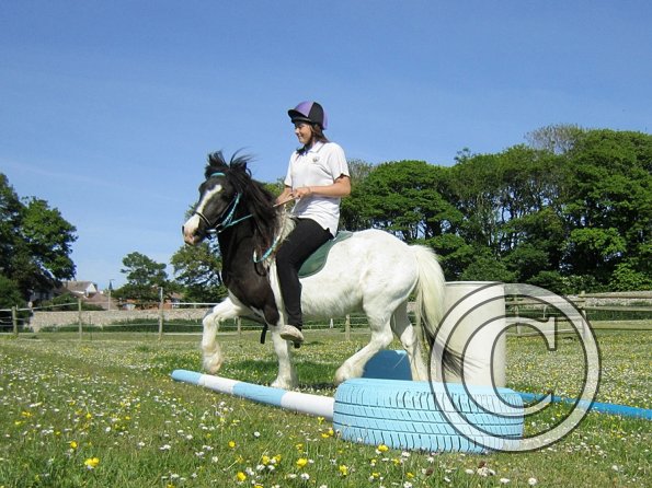 reginald-the-great-2-