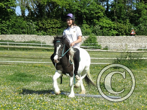 reginald-the-great-3-