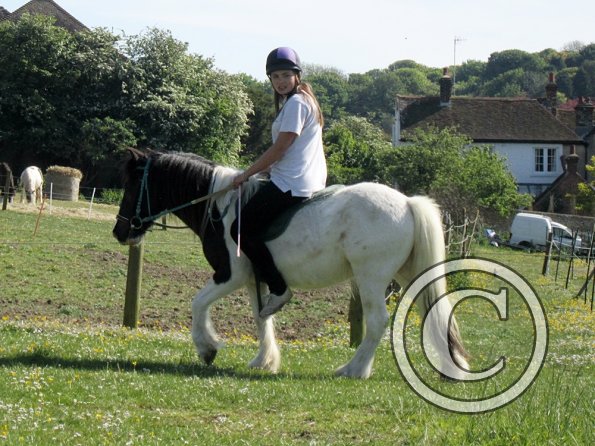 reginald-the-great-4-