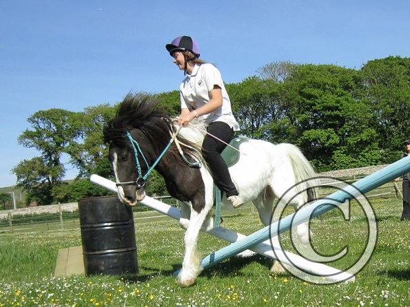 reginald-the-great-5-