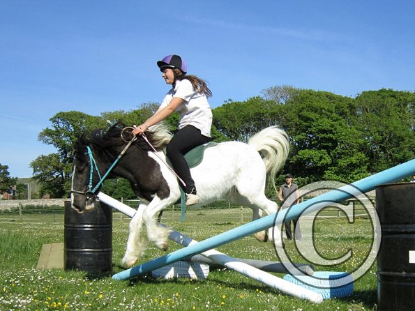 reginald-the-great-6-