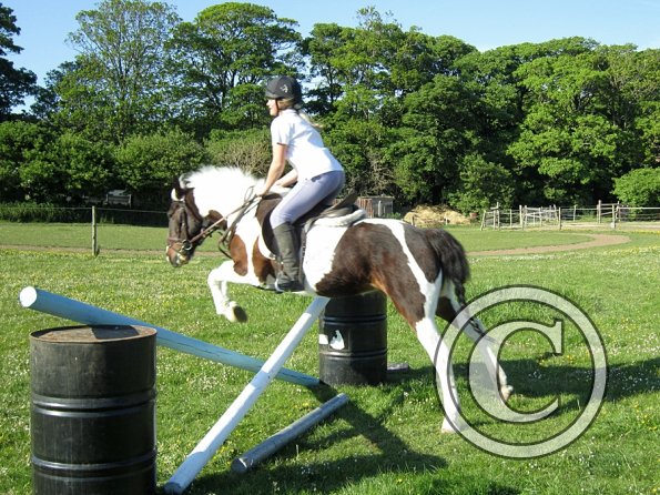 super-straight-fee-6-