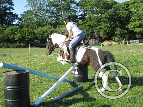 super-straight-fee-7-