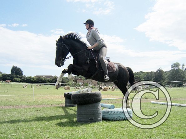 Solly and Scarlett (10)