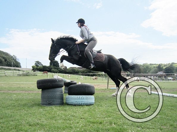 Solly and Scarlett (11)