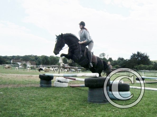 Solly and Scarlett (12)