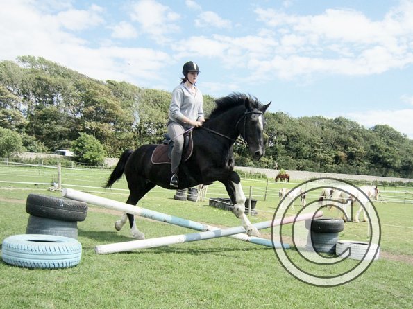 Solly and Scarlett (2)