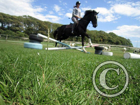 Solly and Scarlett (3)