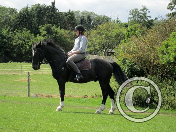 Solly and Scarlett (7)