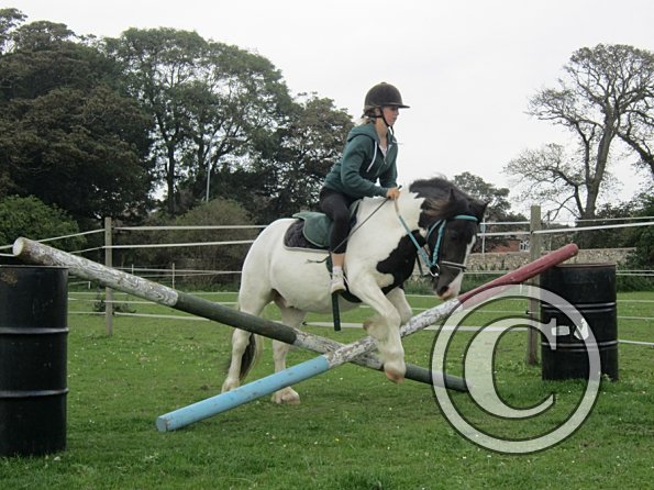 Reggie and Lily (11)