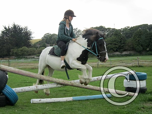 Reggie and Lily (12)