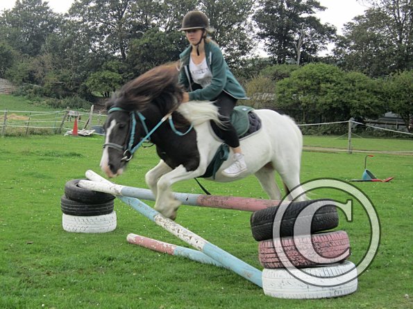 Reggie and Lily (13)