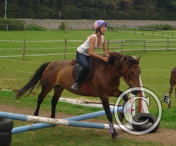 Cross pole Pepsi.jpg