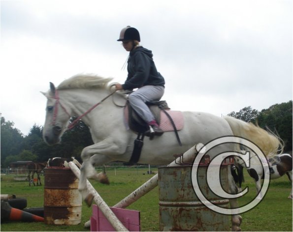 Pink filler Angel.jpg