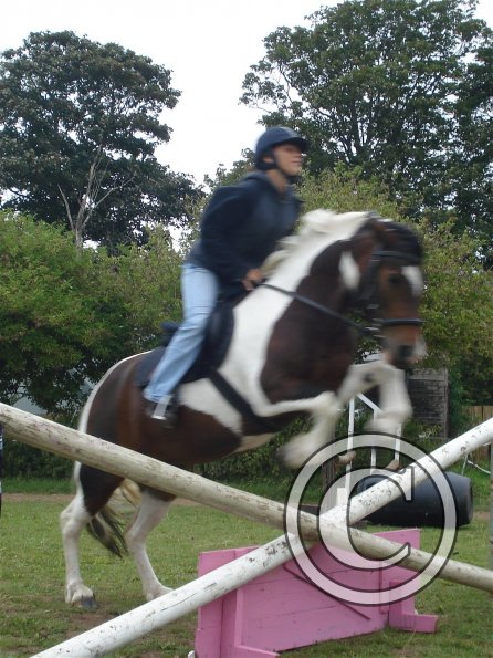 Pink filler Lizzy.jpg