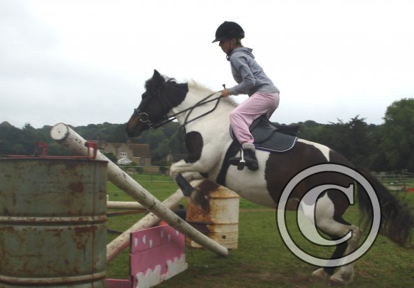 Pink filler Tilly.jpg