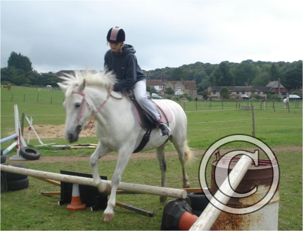 Small spread Angel.jpg