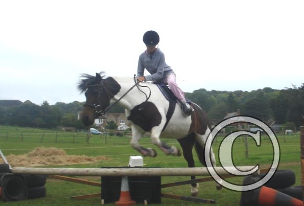 Small spread Tilly.jpg