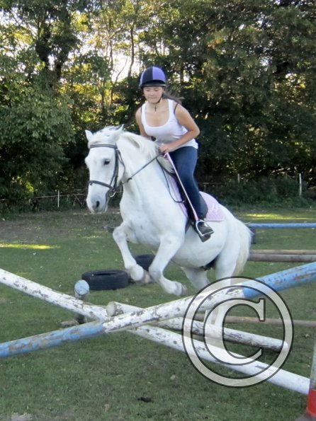 Jumping (8)
