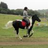 jd-flatwork-2-