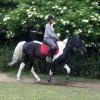 jd-flatwork-3-