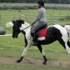 jd-flatwork-5-