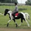 jd-flatwork-6-