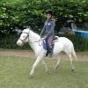 moo-flatwork-2-