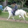 moo-flatwork-3-