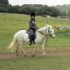 moo-flatwork-4-
