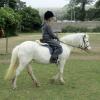 moo-flatwork-5-