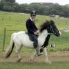 reggie-flatwork-2-