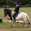 reggie-flatwork-3-