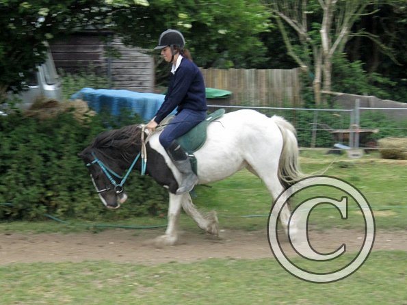 reggie-flatwork-4-